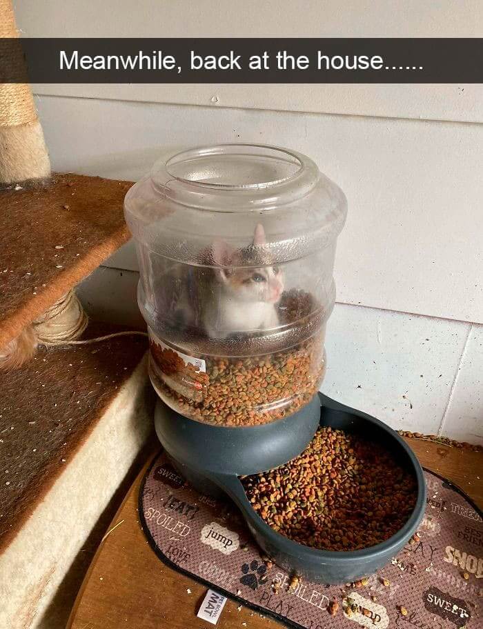 "I Live Here Now!"