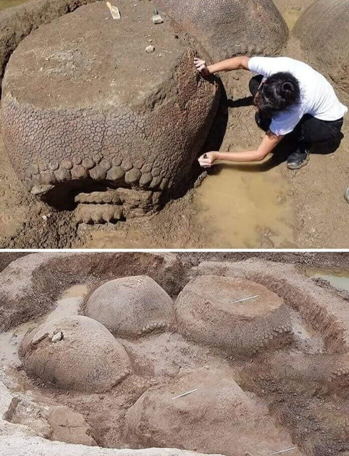 These 20,000-Year-Old Armadillos Weighed About 2 Tons Each