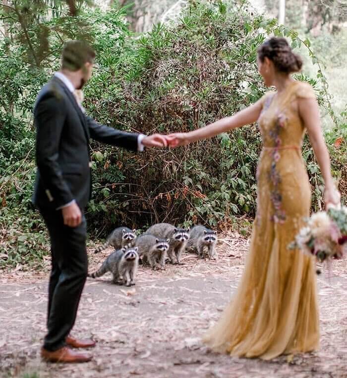 When Nature Want To Be A Part Of The Photoshoot