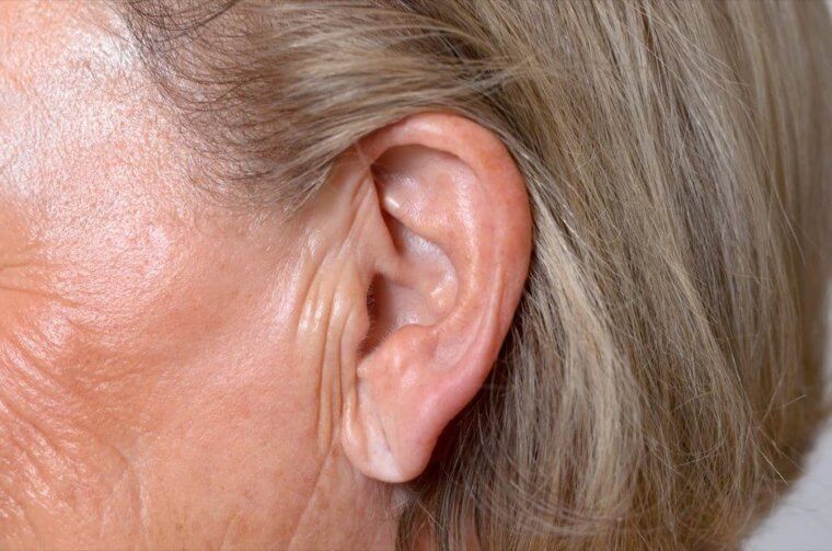 The Smallest Bone In Your Body Is In Your Ear