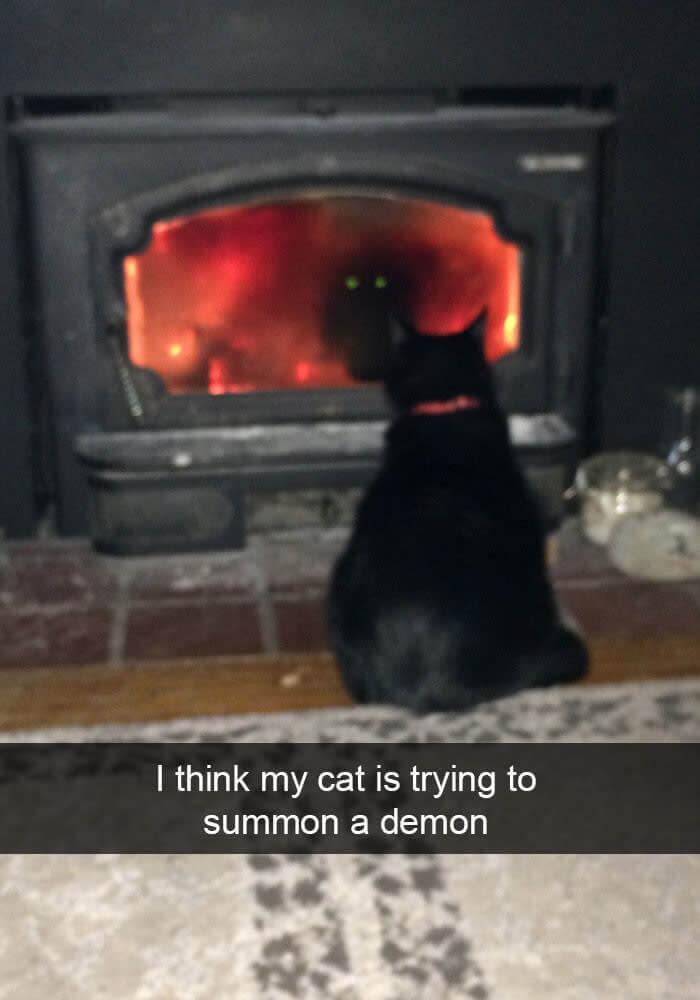 Giving A Status Report To His True Master
