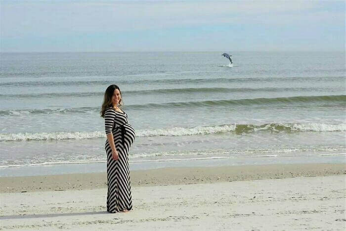 This Dolphin That Wanted To Be A Part of The Photo