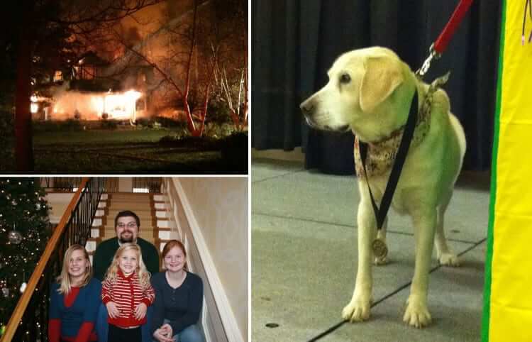 Molly Is Blind, But She Saved Everyone From A House Fire