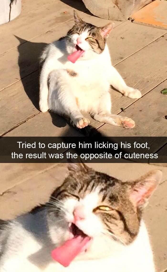 It Must Be Broken