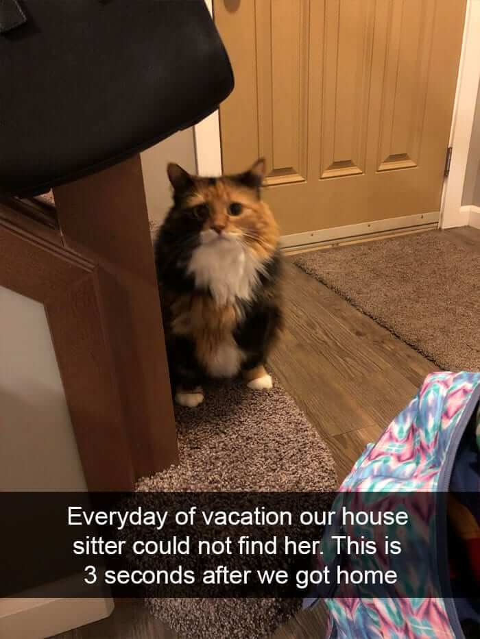 She Really Missed Her Family