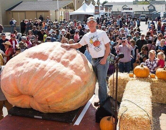 James and the Giant Pumpkin