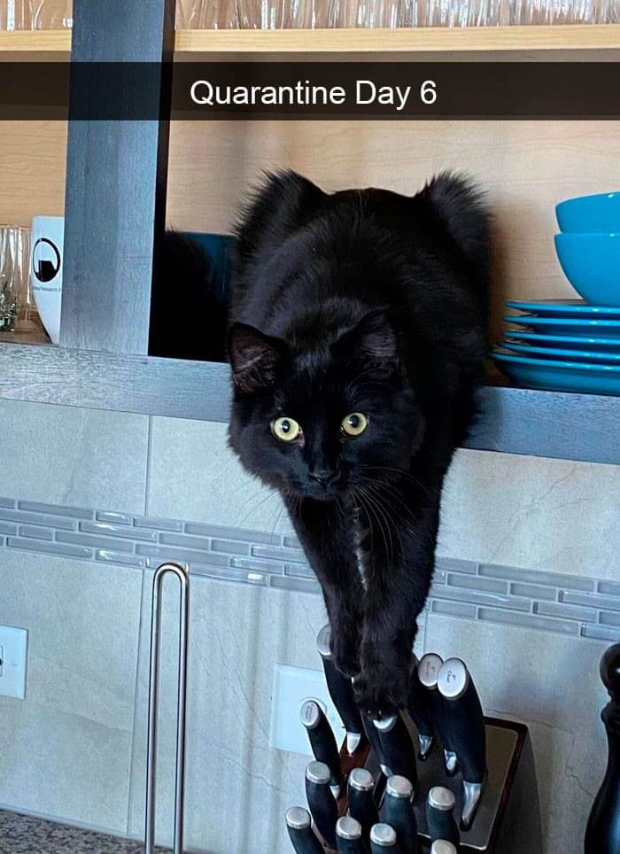 "What, I Wasn't Doing Anything"
