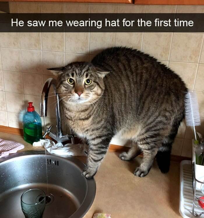 It Must Be A Weird Hat