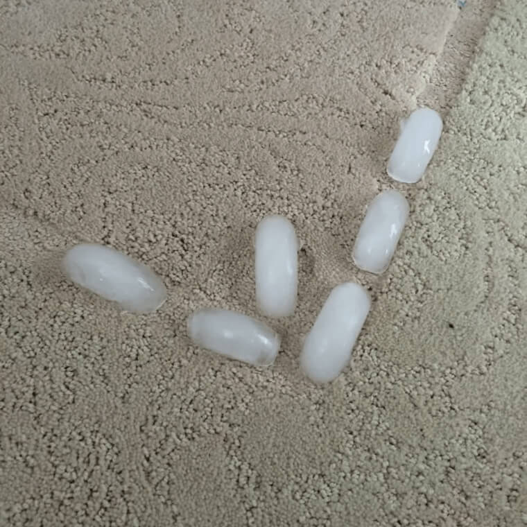 Ditch Those Carpet Dents