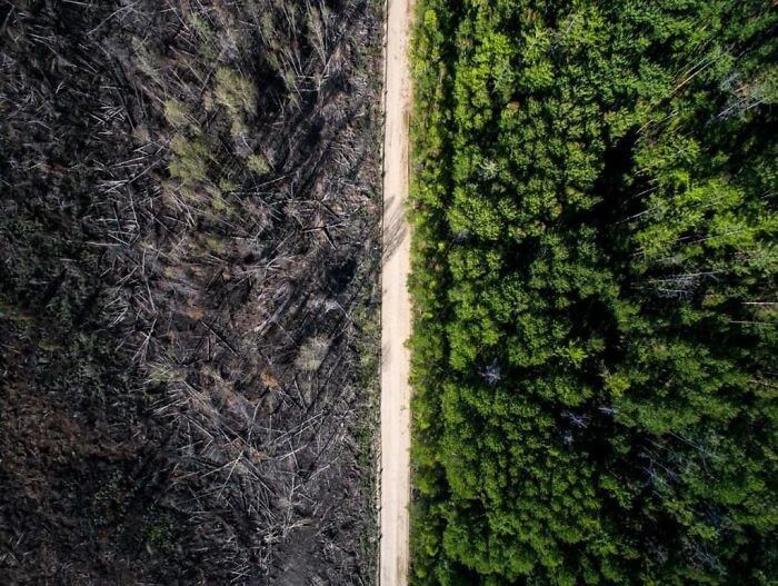 The Road That Defeated A Wildfire