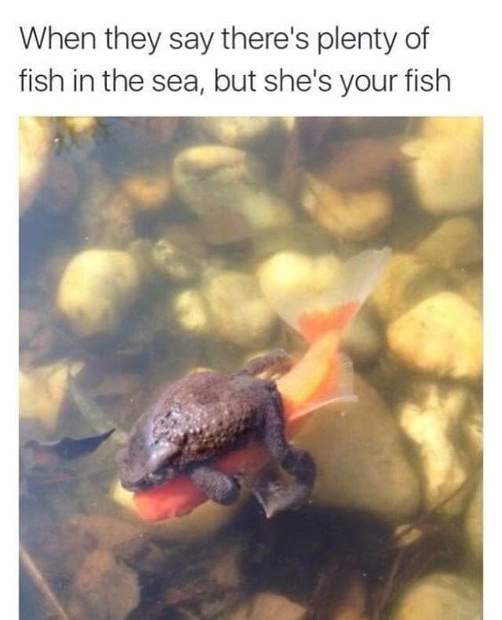 ​Only One Fish in the Sea for You