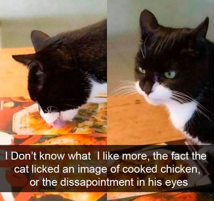 Pure Dissapointment