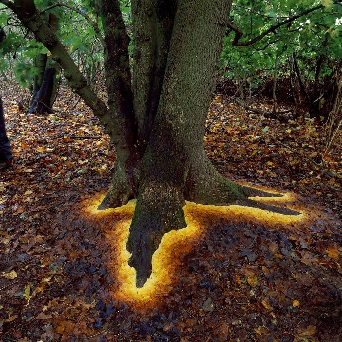 The Mystical Glowing Tree