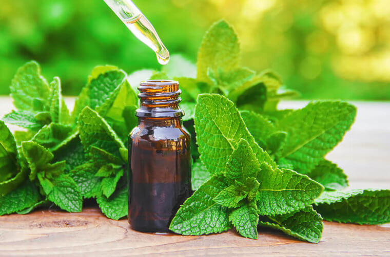 Don't Put Peppermint Oil On A Tick Bite