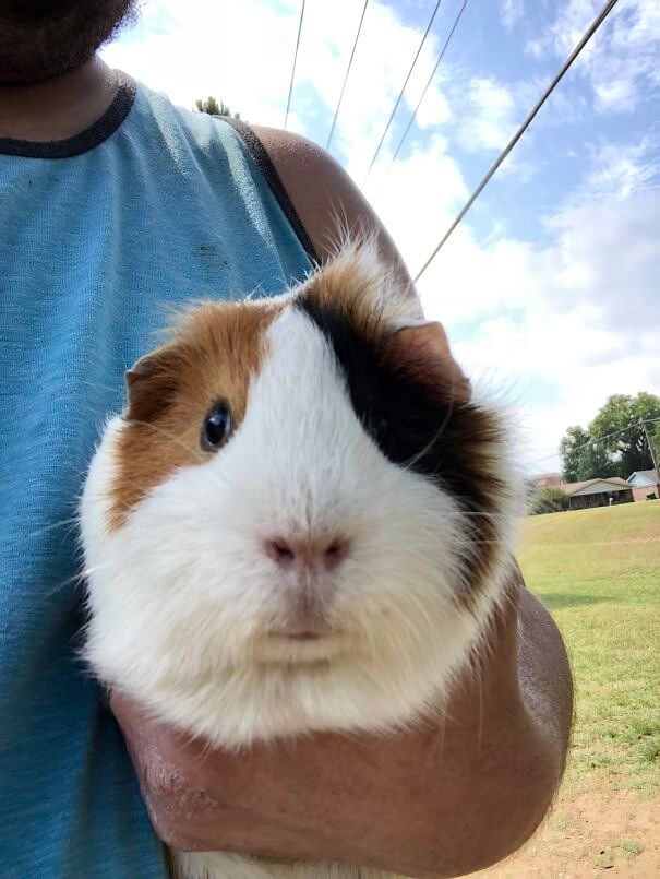 Not Your Usual Backyard Find