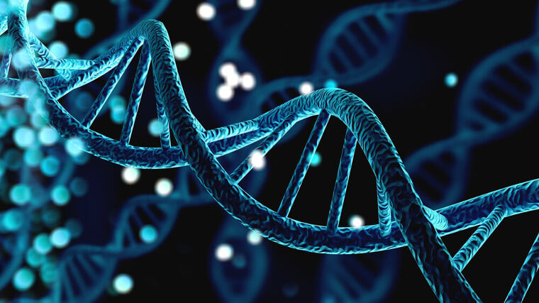 Our DNA Would Require This Many Gigabytes Of Storage