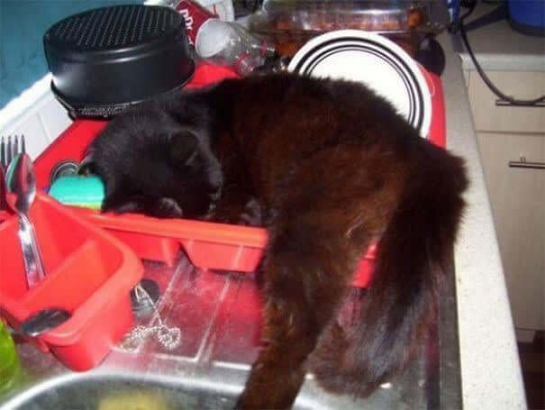 Time To Re-Wash The Dishes