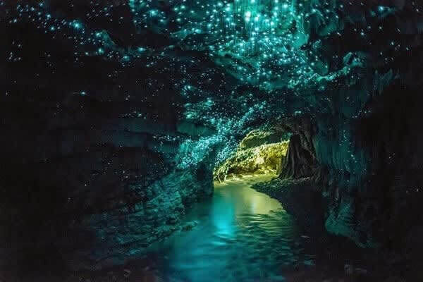 Glowworm Caves, Waitomo, New Zealand