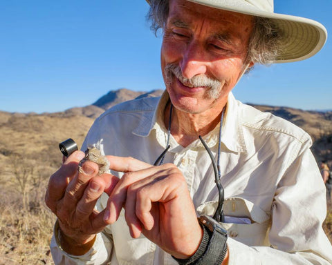 Lizard Species Wasn’t Spotted for 70 Years, You’re Helping Us Study It