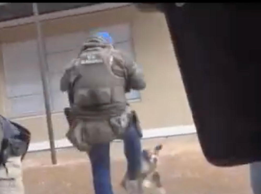 Video Shows U.S. Marshal Kicking a Small Dog During Arrest